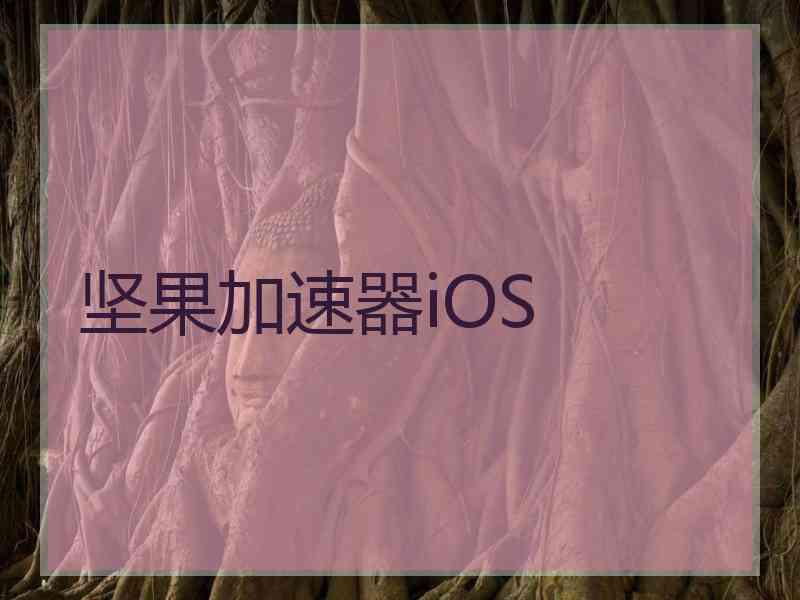 坚果加速器iOS