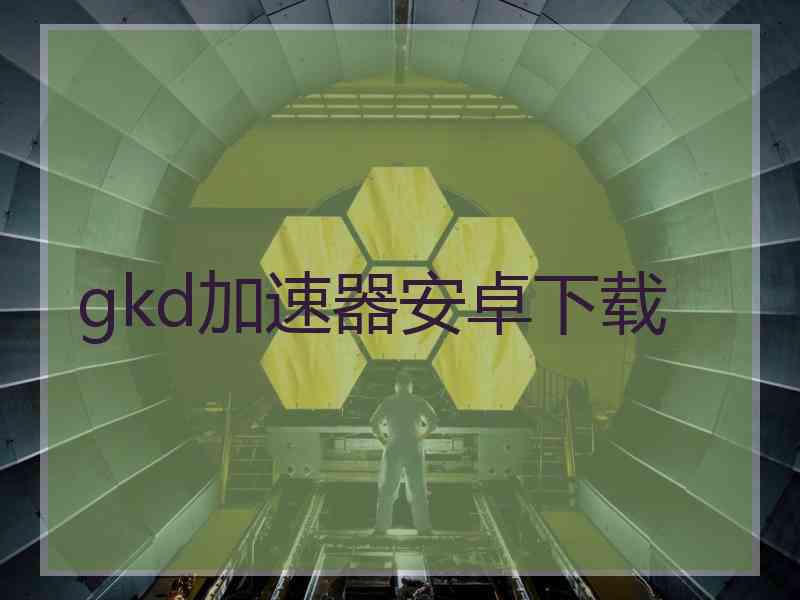 gkd加速器安卓下载