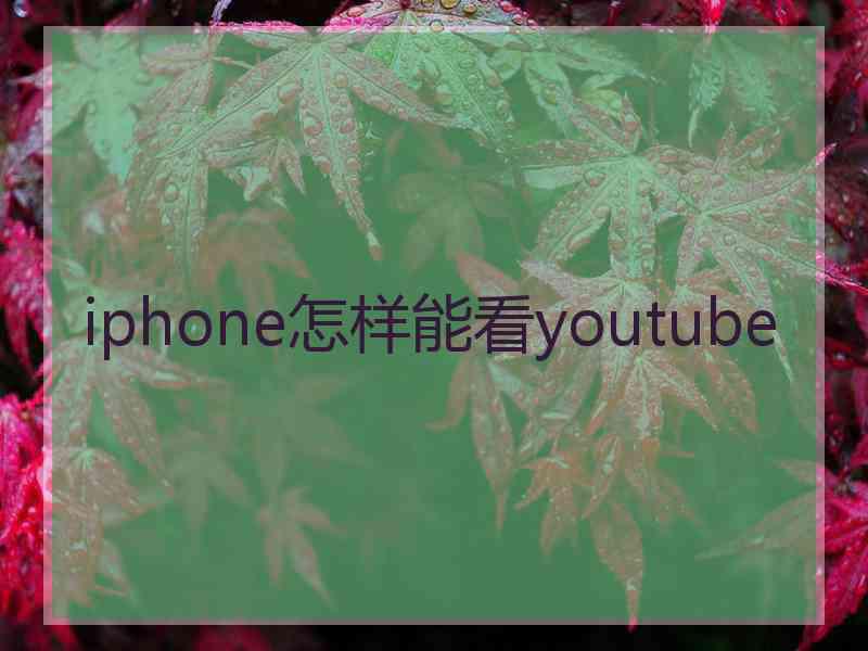 iphone怎样能看youtube