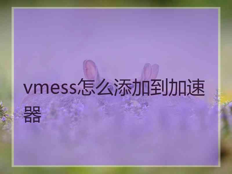 vmess怎么添加到加速器