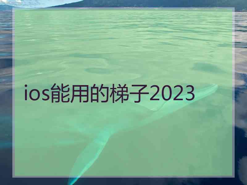 ios能用的梯子2023