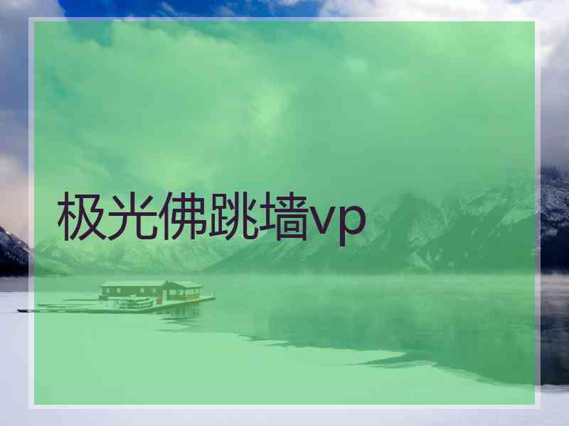 极光佛跳墙vp