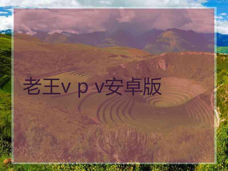 老王v p v安卓版