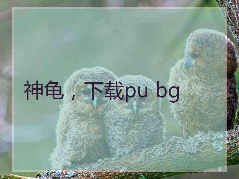 神龟，下载pu bg