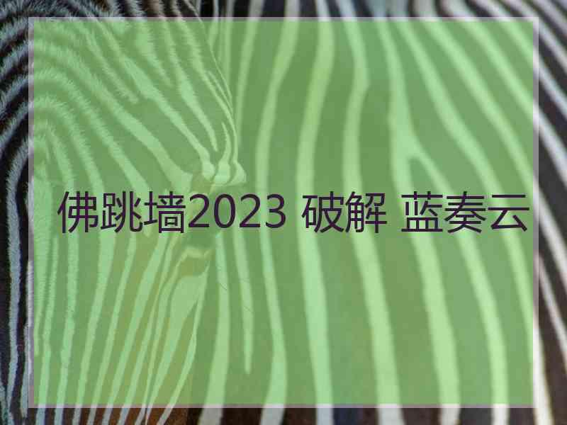 佛跳墙2023 破解 蓝奏云