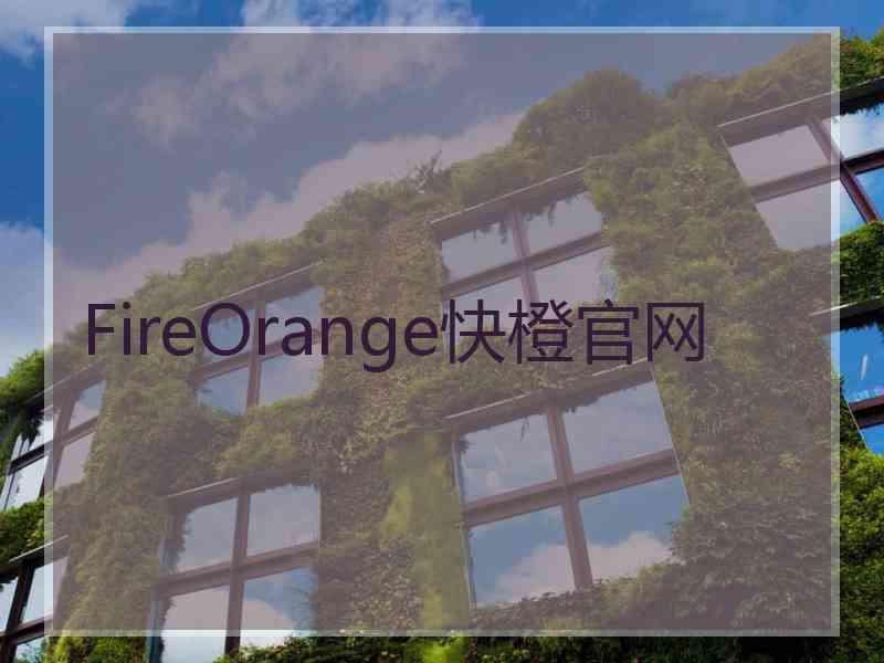 FireOrange快橙官网