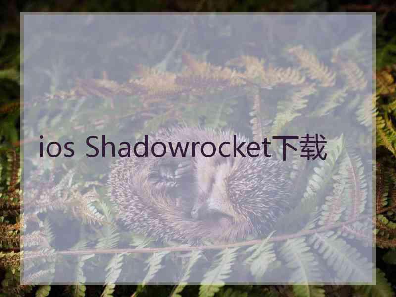 ios Shadowrocket下载