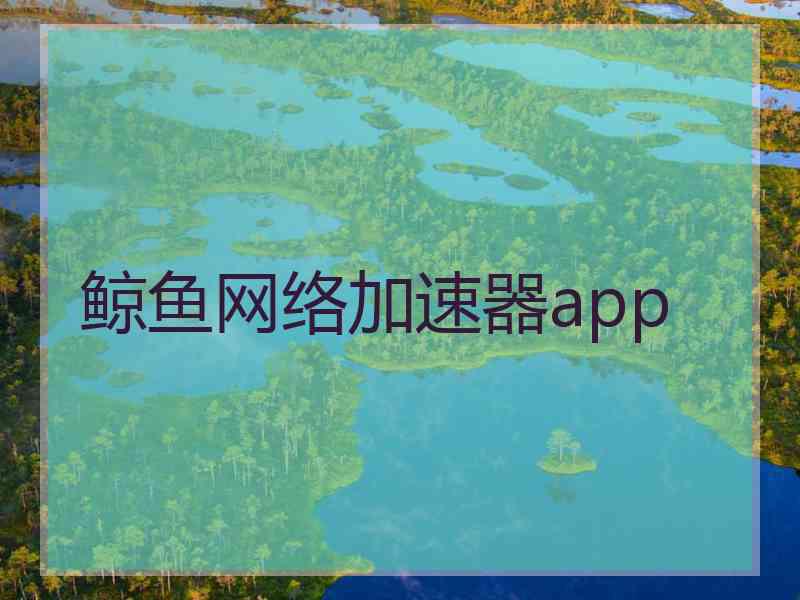 鲸鱼网络加速器app