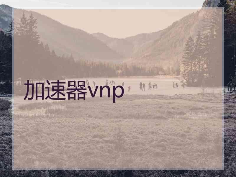 加速器vnp