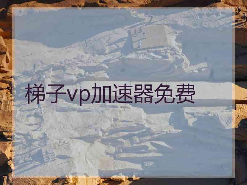 梯子vp加速器免费