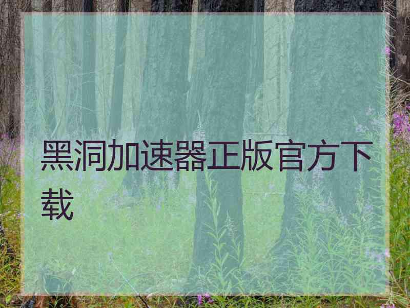 黑洞加速器正版官方下载