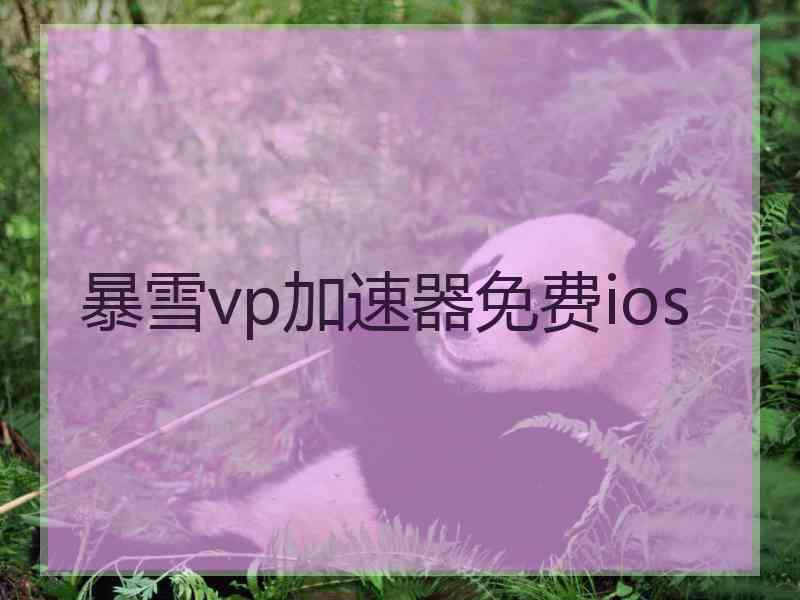 暴雪vp加速器免费ios