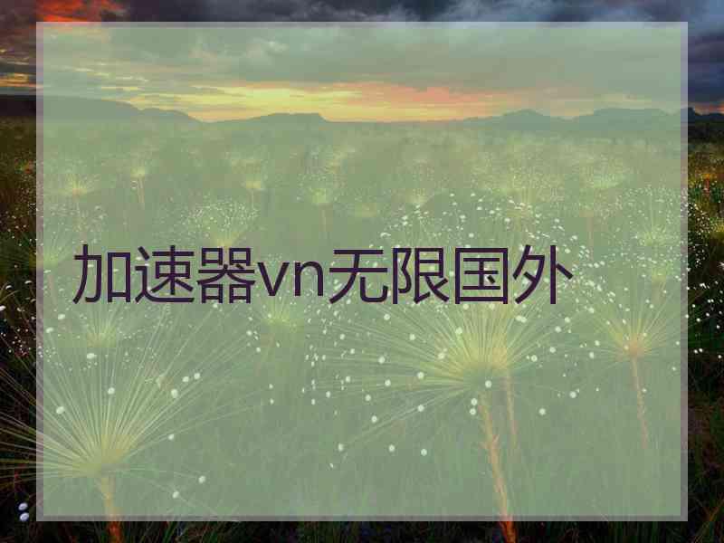 加速器vn无限国外