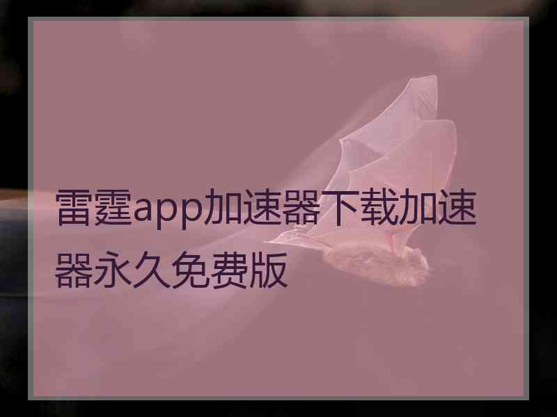 雷霆app加速器下载加速器永久免费版