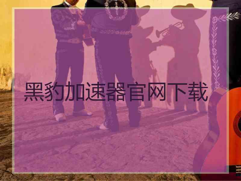 黑豹加速器官网下载