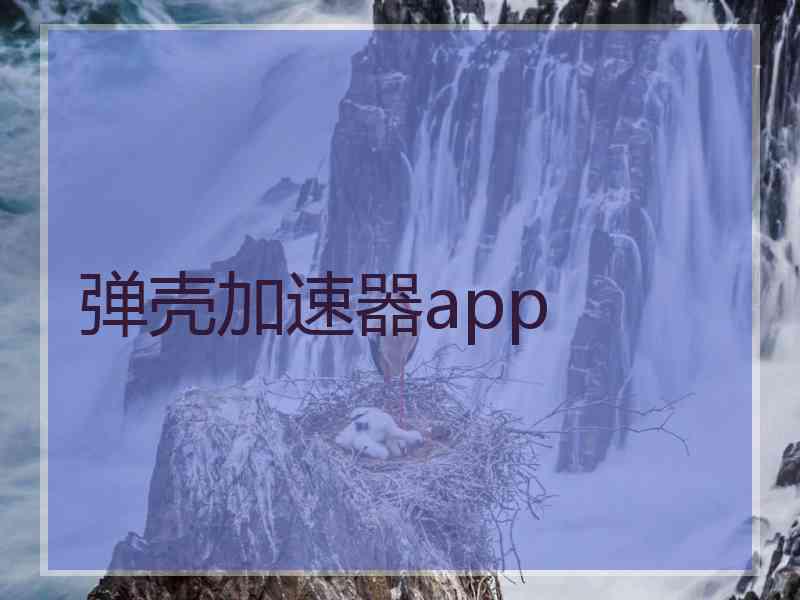 弹壳加速器app