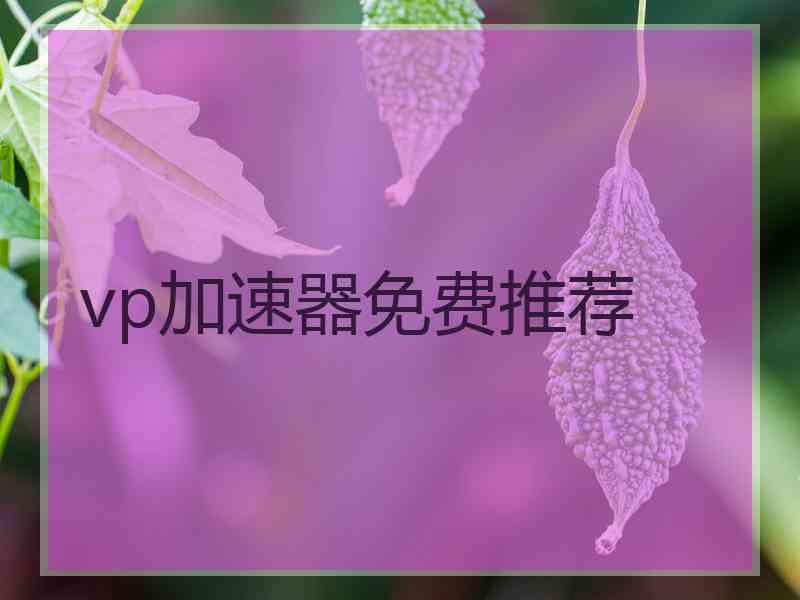 vp加速器免费推荐