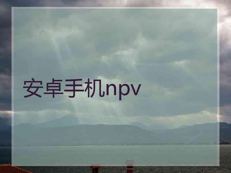 安卓手机npv