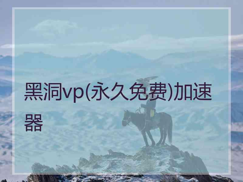 黑洞vp(永久免费)加速器