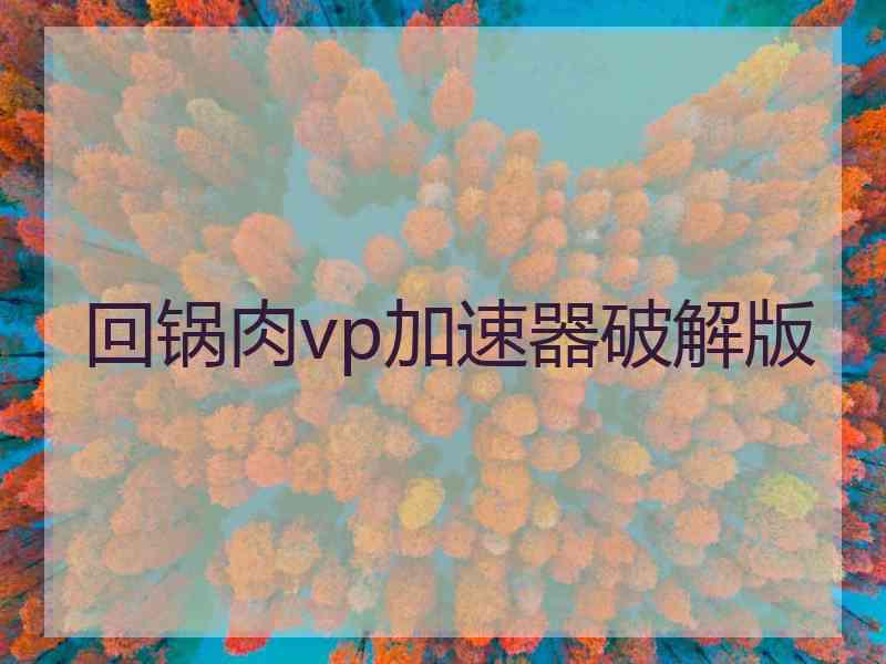 回锅肉vp加速器破解版