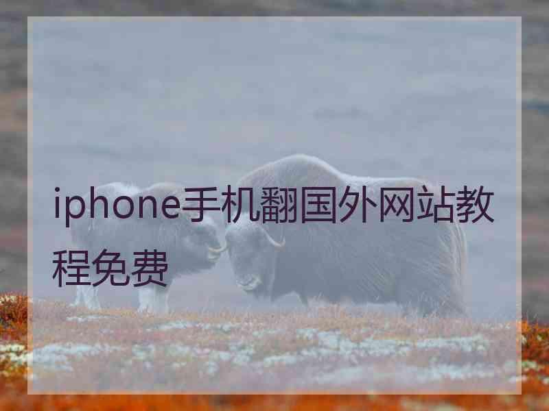 iphone手机翻国外网站教程免费