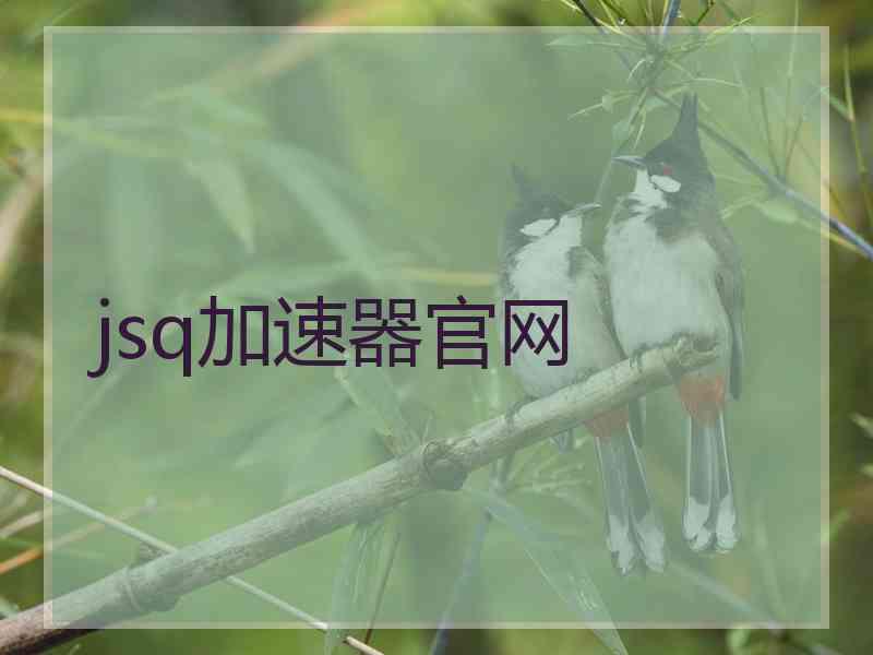 jsq加速器官网