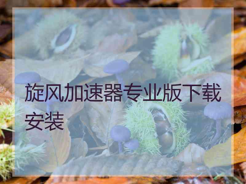 旋风加速器专业版下载安装