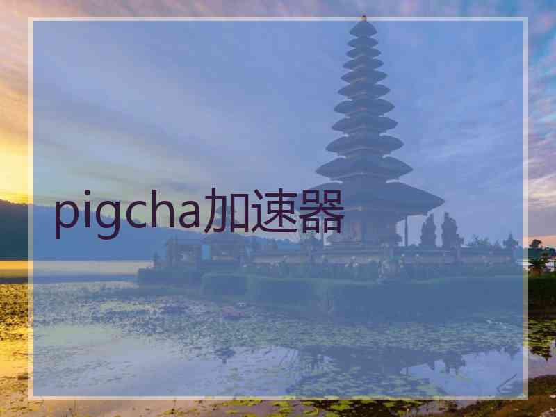 pigcha加速器